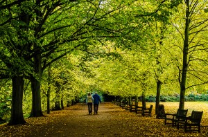 stroll in park